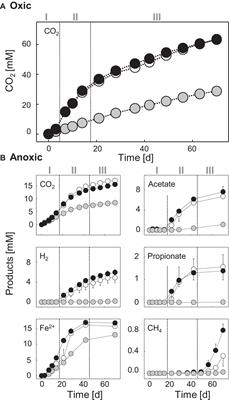 Ecological Functions of Agricultural Soil Bacteria and Microeukaryotes in Chitin Degradation: A Case Study